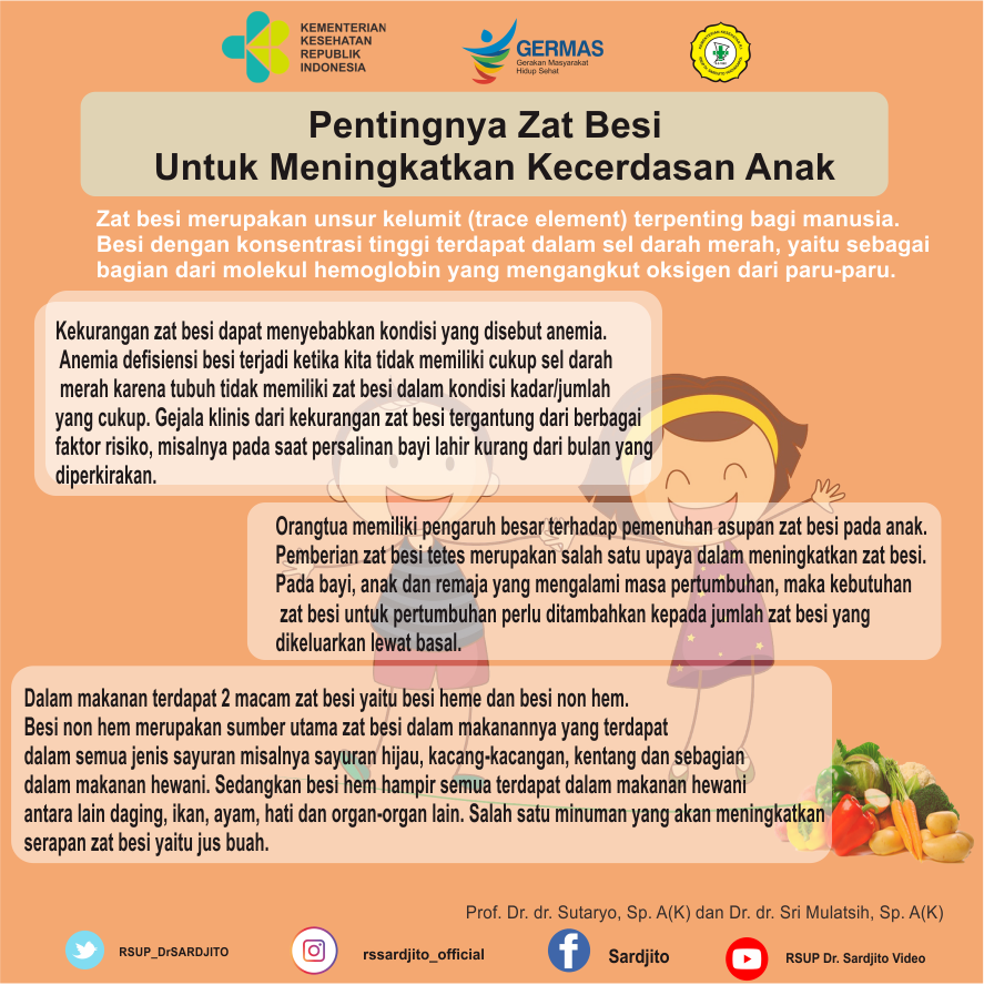 Pentingnya Zat Besi Untuk Meningkatkan Kecerdasan Anak