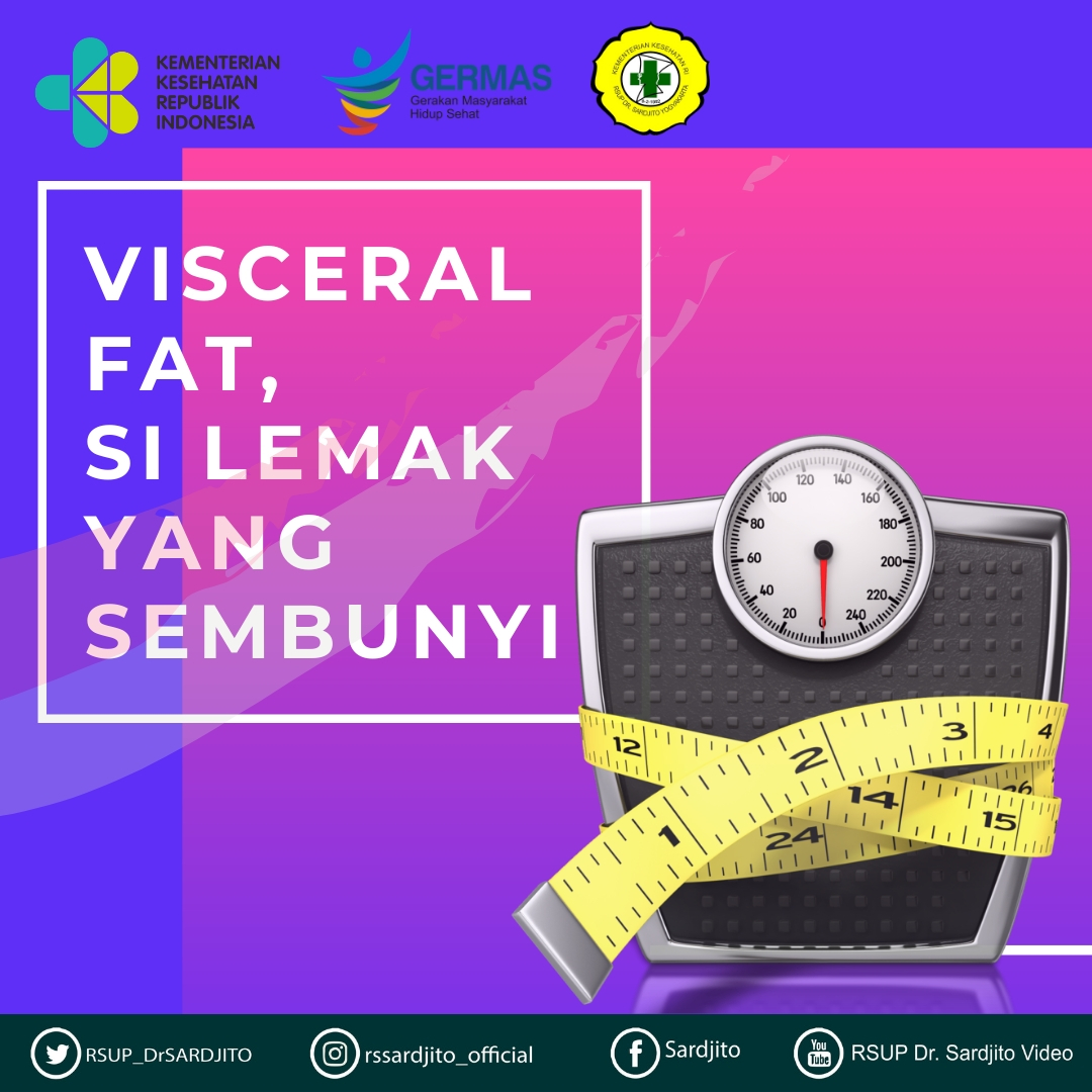Visceral Fat , Si Lemak Aktif yang Tersembunyi