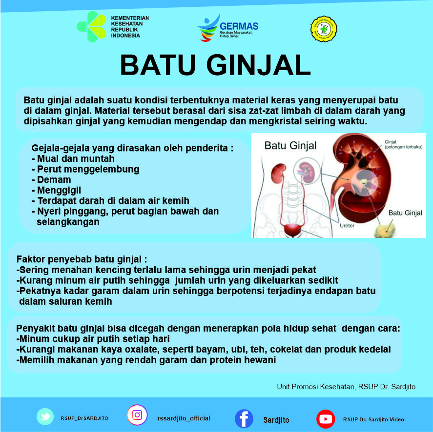 Batu Ginjal