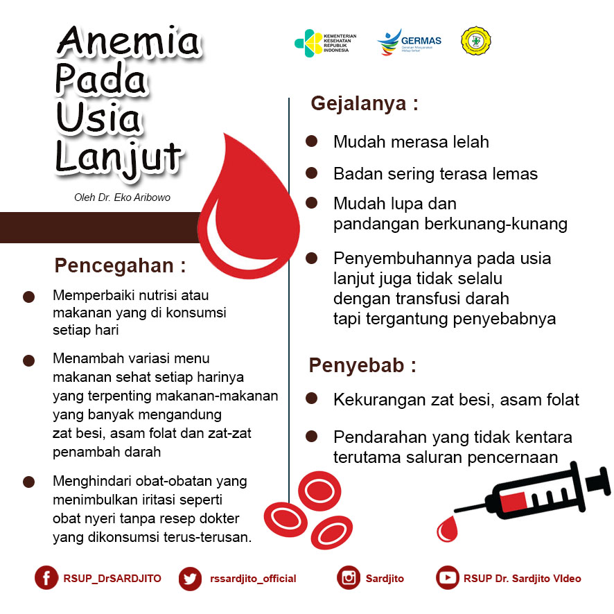 Anemia Pada Usia Lanjut
