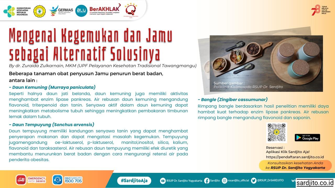 Mengenal Kegemukan dan Jamu sebagai Alternatif Solusinya